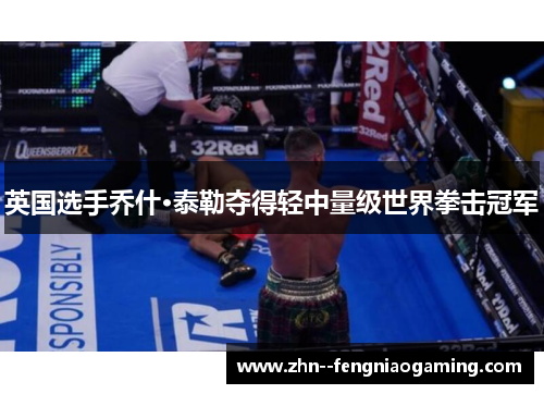 英国选手乔什·泰勒夺得轻中量级世界拳击冠军