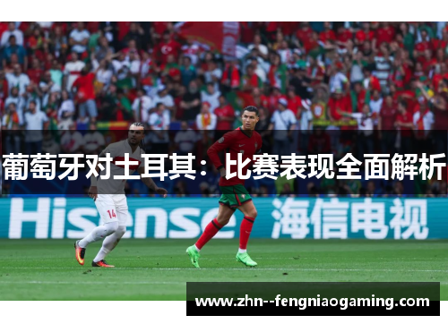 葡萄牙对土耳其：比赛表现全面解析
