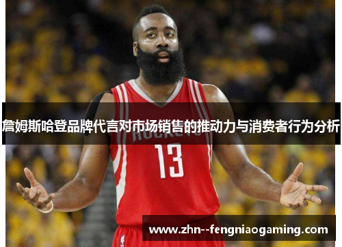 詹姆斯哈登品牌代言对市场销售的推动力与消费者行为分析