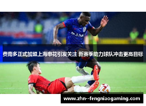 费南多正式加盟上海申花引发关注 新赛季助力球队冲击更高目标