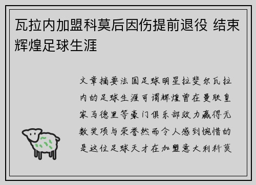 瓦拉内加盟科莫后因伤提前退役 结束辉煌足球生涯